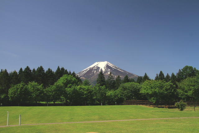 春の富士山