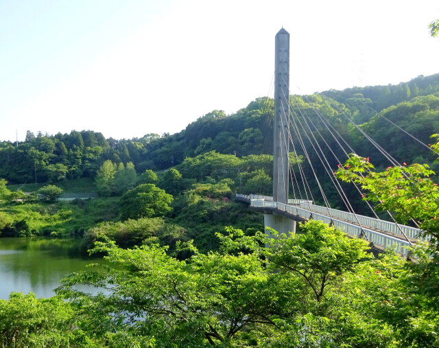 みどりの中の遊歩道つり橋