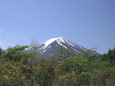 創造の森の富士山