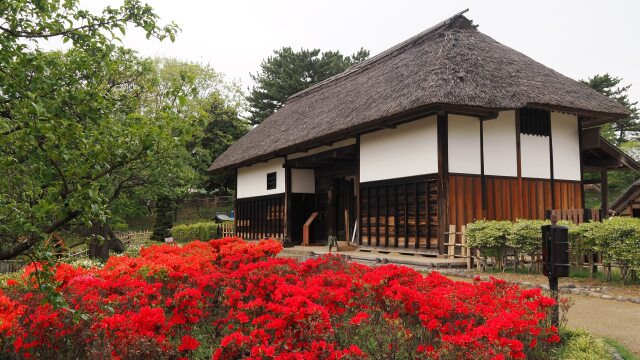 春の昭和記念公園