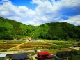 新緑の里山