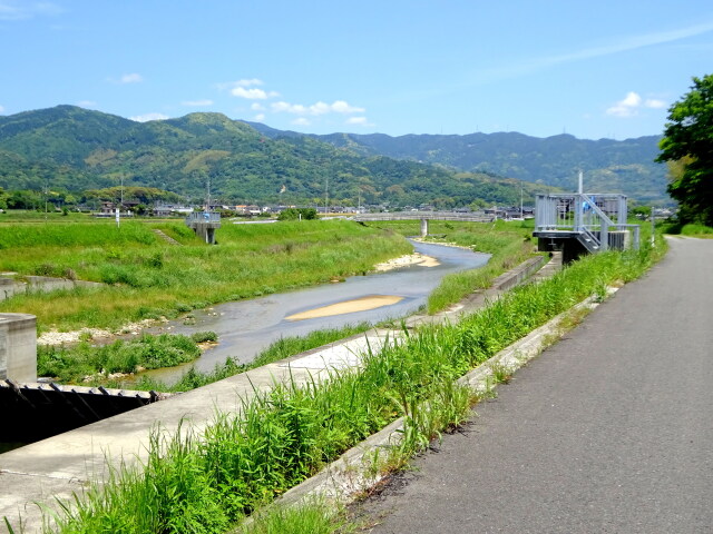 夏めいて来た風景