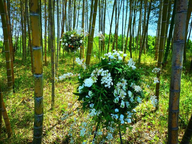 竹林と花