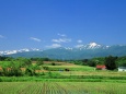 のどかな田舎風景