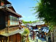 新緑の京都の街並み
