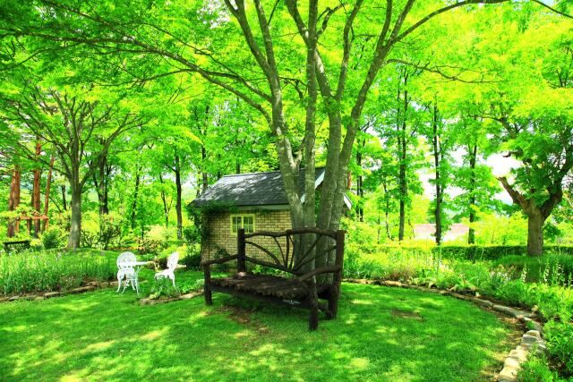 新緑の中で一休み