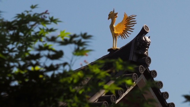 春の平等院鳳凰堂