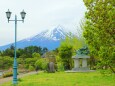 新緑と富士山