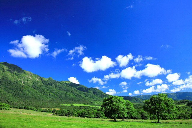 夏の高原