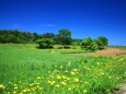 夏の高原