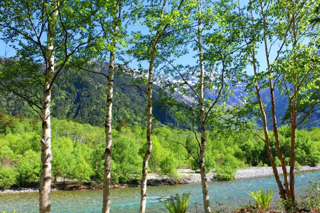 初夏の上高地