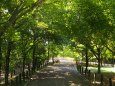 RndList[3]