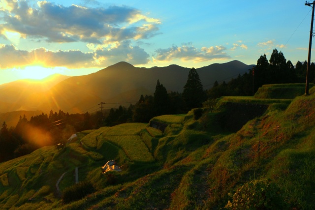 棚田の夕暮れ
