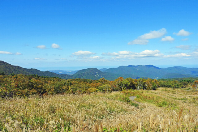 高原に秋 7