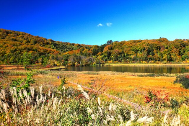 八幡平 大沼