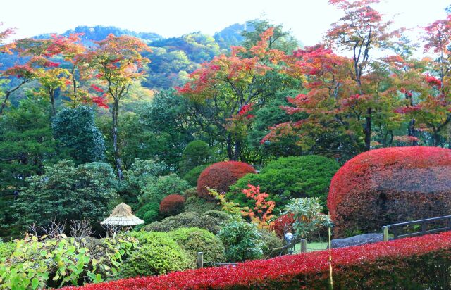 日光山輪王寺庭園紅葉