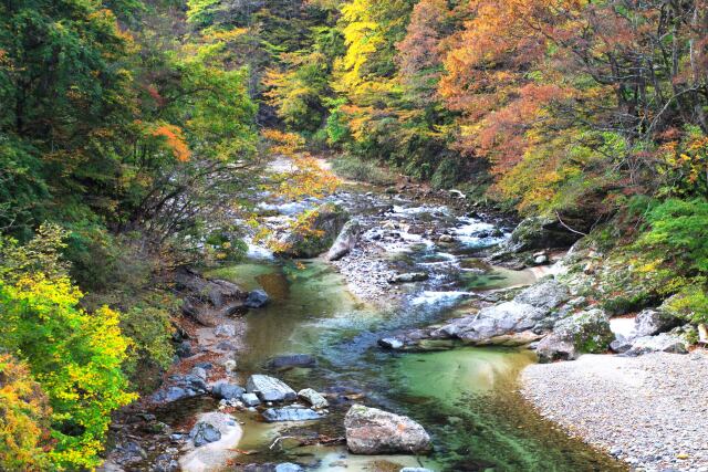 秋の渓流