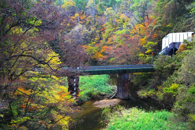 秋の北上線
