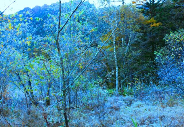 霜の上高地