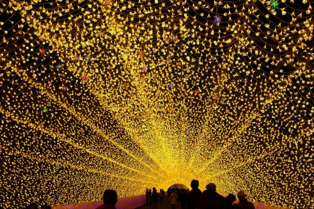 イルミネーション