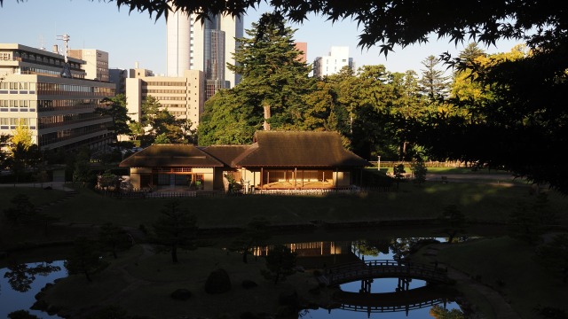 秋の玉泉院丸庭園