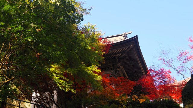 秋の山寺