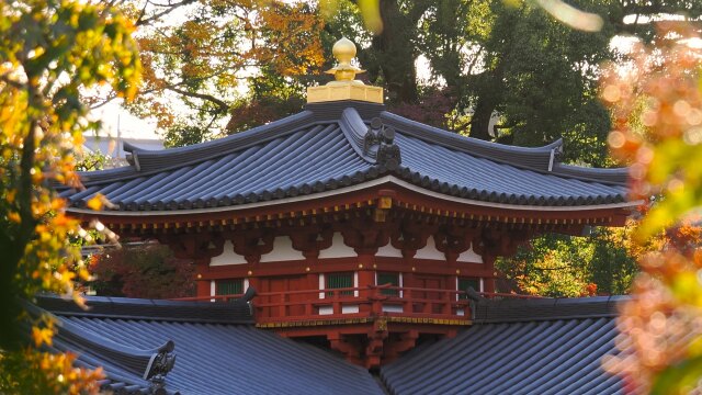 秋の平等院