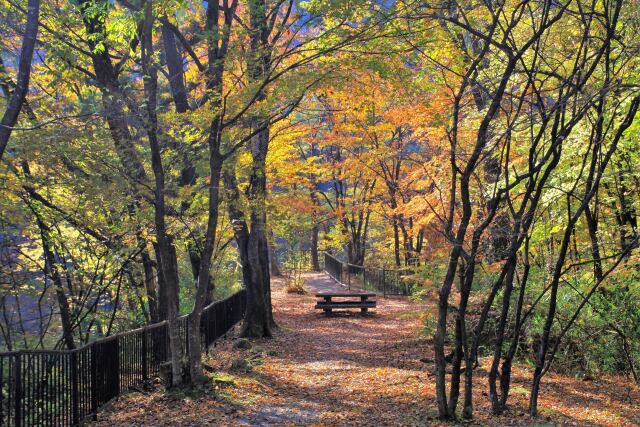 鳳鳴四十八滝展望台