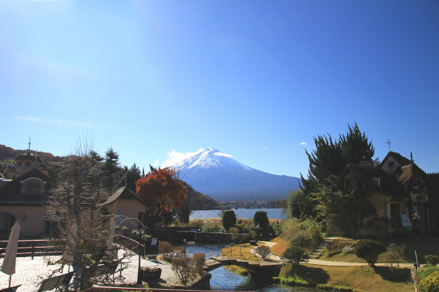 音楽と森の美術館庭園から