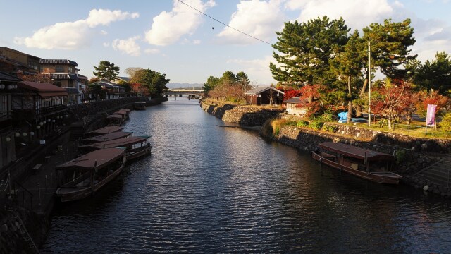 秋の宇治公園