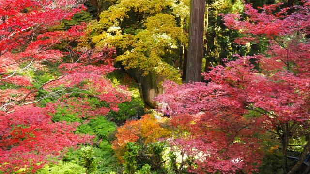 山寺の紅葉