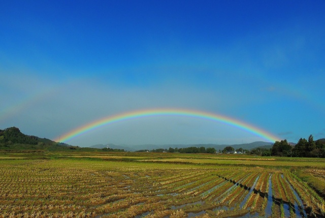 二重の虹が