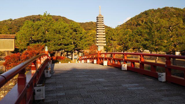 秋の宇治公園