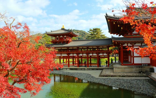 平等院鳳凰堂紅葉