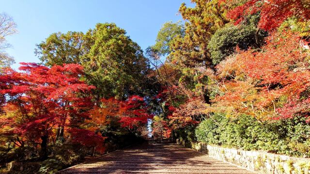 秋の光明寺