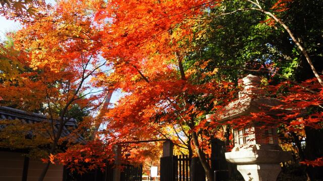 秋の北野天満宮