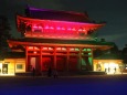 冬の夜の平安神宮