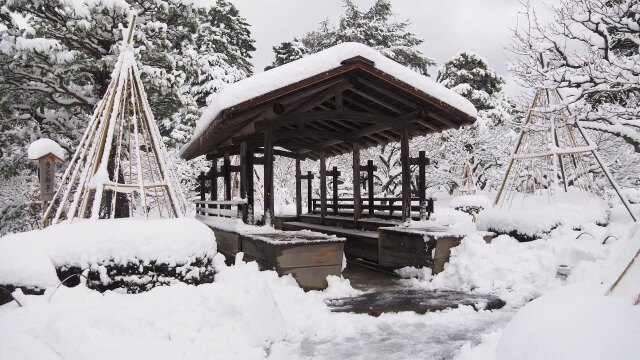 冬の兼六園