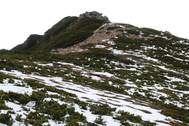 初冬の仙丈ヶ岳にて