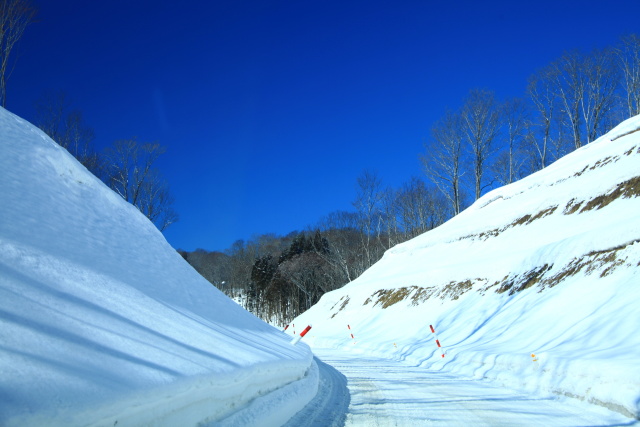 雪の山道
