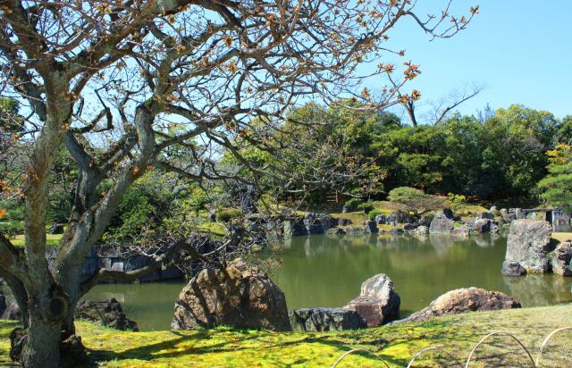 二条城庭園
