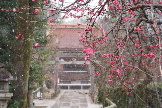雪の北野天満宮
