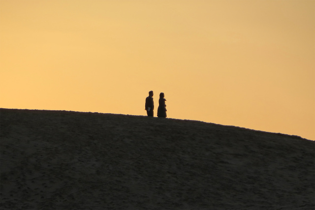 冬の黄昏 砂丘のシルエット