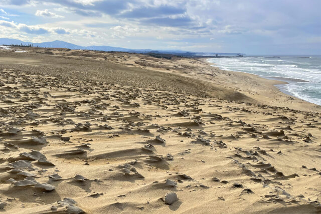 冬の鳥取砂丘 4 風紋