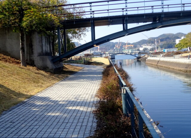 水辺の公園遊歩道