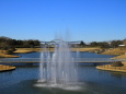 ひたち海浜公園