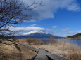 山中湖遊歩道