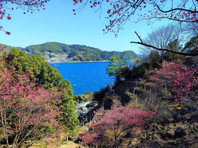初春の東紀州の海
