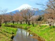 初春の忍野八海