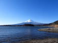 寒々しい風景